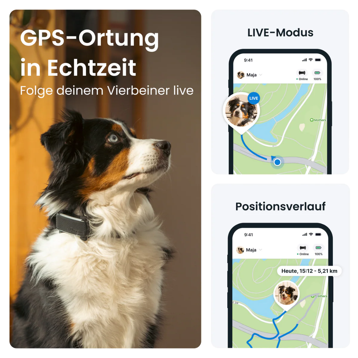 Vorschaubild 10